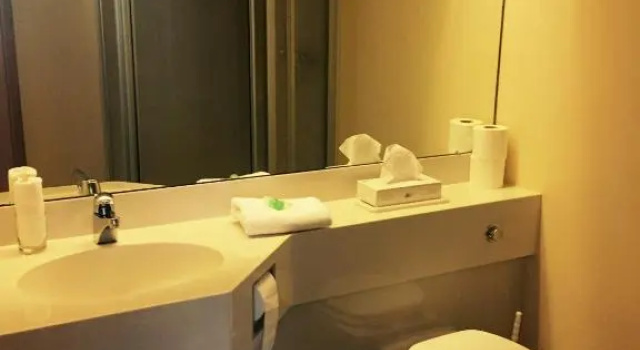 Одноместный номер Standard Hotel Gerber