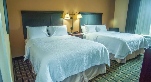 Четырёхместный номер Standard Hampton Inn & Suites Palestine
