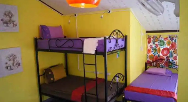 Dorm Des Fleurs Hostel