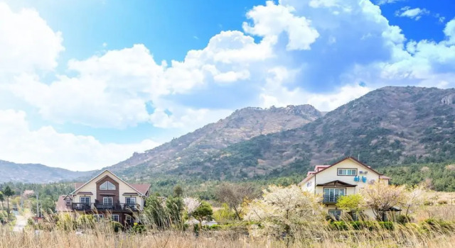 Sky Pension