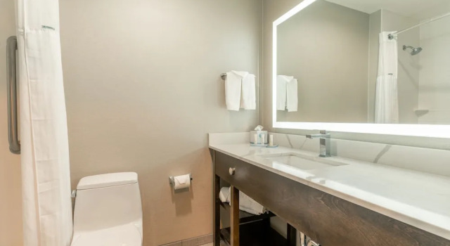 Двухместный номер Deluxe Hotel Aluxor SFO, Shuttle Service