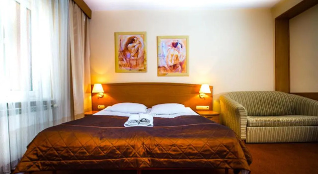 Номер Deluxe Hotel Nad Pisą