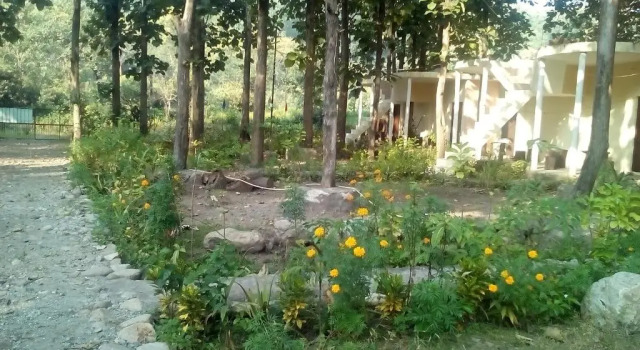 Corbett Jungle Inn, Boek Hotel Garjia 