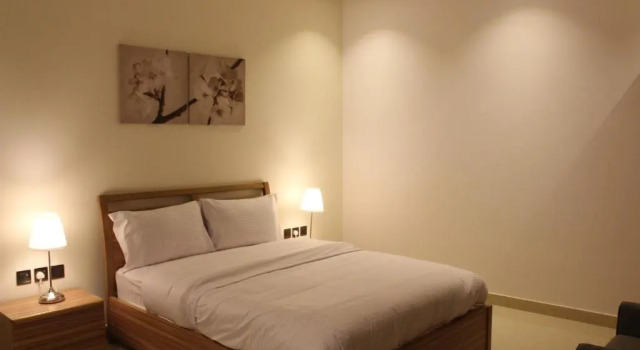 Люкс Nital Furnished Apartment