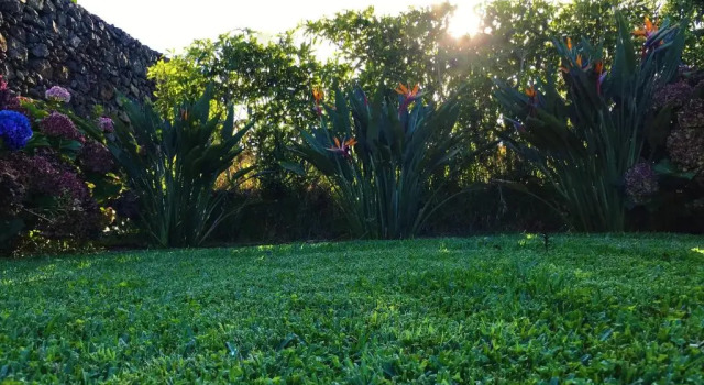 Коттедж Surf Beach_Santa Barbara Secret Gardens