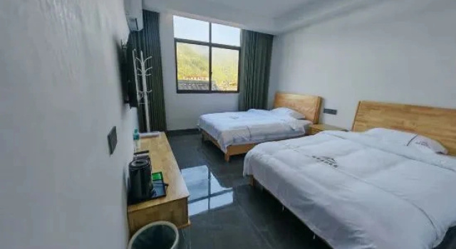 Семейный люкс Art Hotel