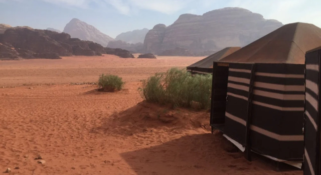 Bett im Wohnheim Bedouin Host Camp
