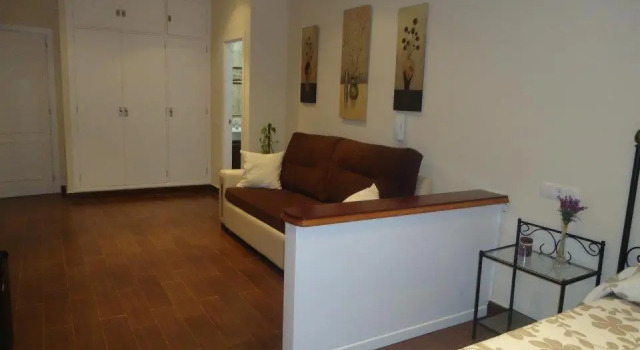Люкс Deluxe Hostal los Dos Naranjos