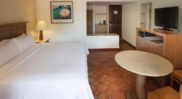 Двухместный номер Standard с видом на сад Holiday Inn Resort Ixtapa All Inclusive