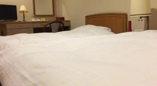 Двухместный номер Standard Hotel Park