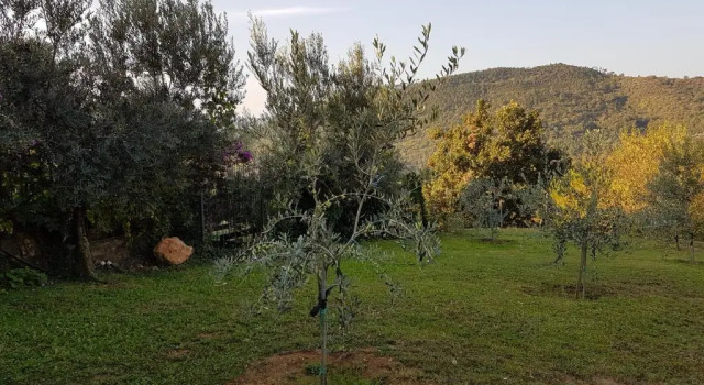 Коттедж Casa Lavanda