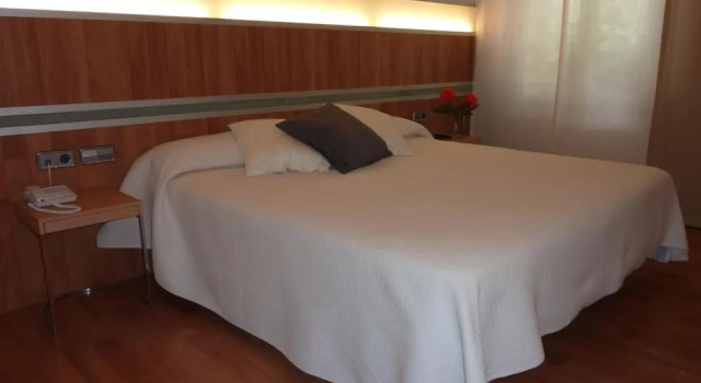 Hotel El Mesón, Prenota Hotel Javier Navarra