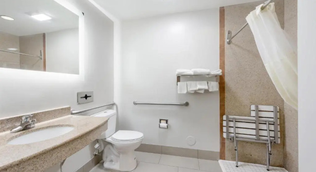 Номер Premium Red Roof Inn PLUS & Suites Birmingham - Bessemer