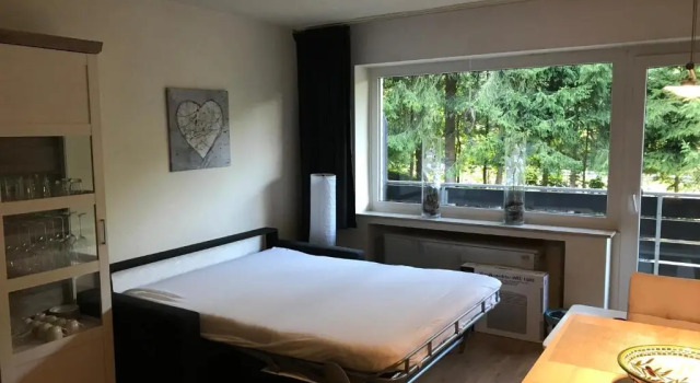 Апартаменты Winterberg Vacation Apartment