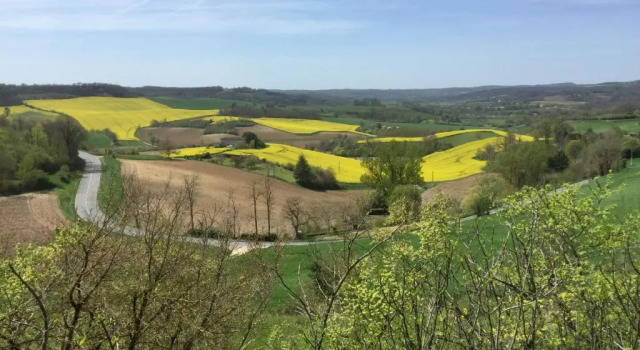 The Gite at No 1 Castelnau de Montmiral, Book Hotel Castelnau-de-Montmiral Tarn