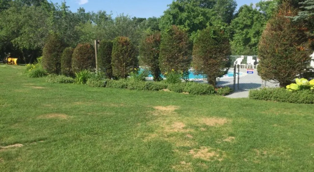 Номер Standard с балконом Briarcliff Motel