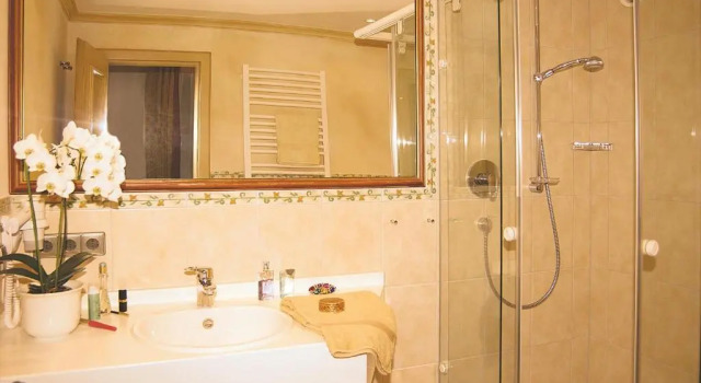 Двухместный номер Standard Schwarzwaldhotel Klumpp