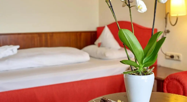 Номер Comfort DAS LUDWIG Sports Resort