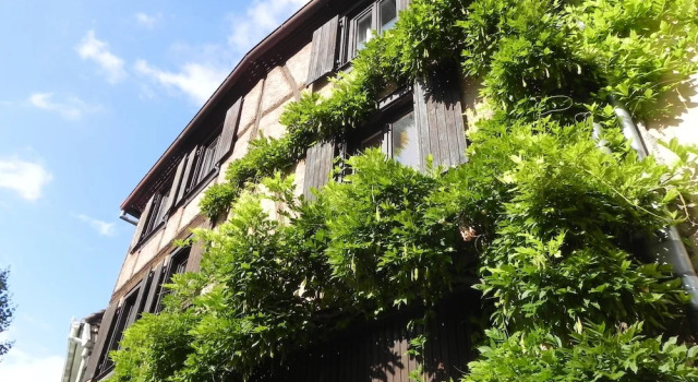 Appartement Le Nid de Cigognes