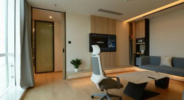 Люкс Business Daini Fuji Hotel