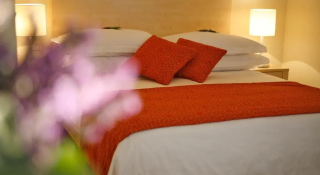 Номер Economy Waterman Svpetrvs Resort - All Inclusive