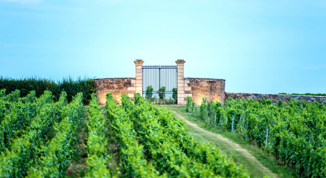 Château de Besseuil, Boek Hotel Hotels in Franche-Comte met ontbijt, Ontbijt