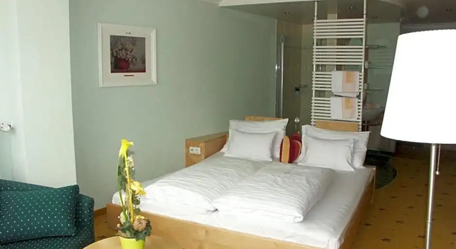 Номер Superior Hotel Alpina Resort nature & wellness