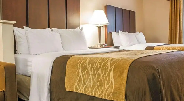 Четырёхместный люкс Comfort Inn & Suites Fenton