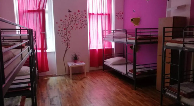Кровать в общем номере (женский номер) Budapest Party Hostel at Udvarom