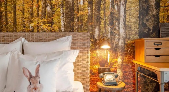 Номер Deluxe La Maison Hôtel Mulhouse Centre