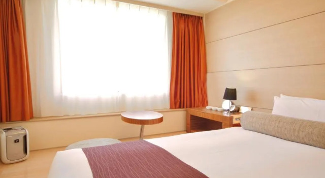 Одноместный номер Flooring Tokyo Bay Ariake Washington Hotel