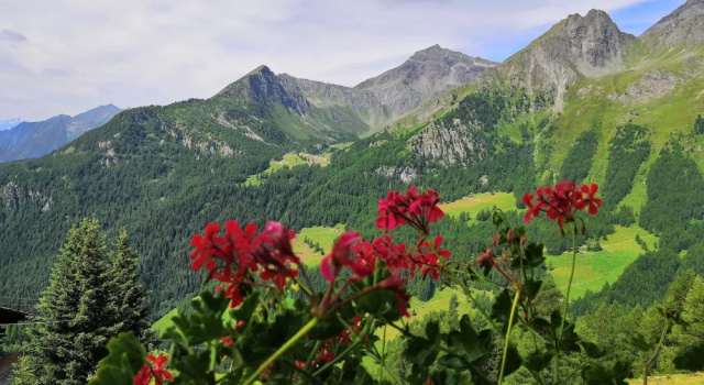 Rifugio Guide Frachey, Забронировать Отель Аяс 