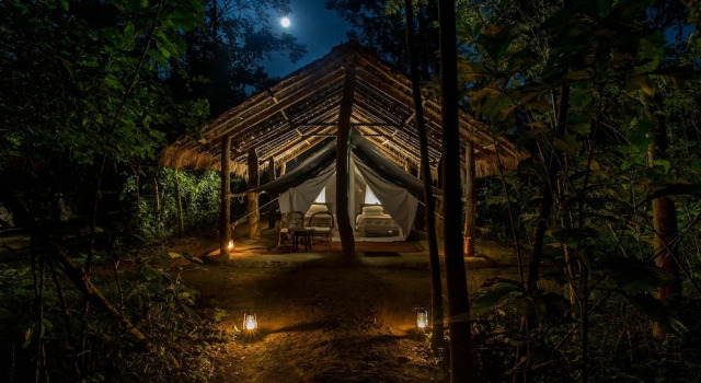 Тент Tiger Tops Tharu Lodge