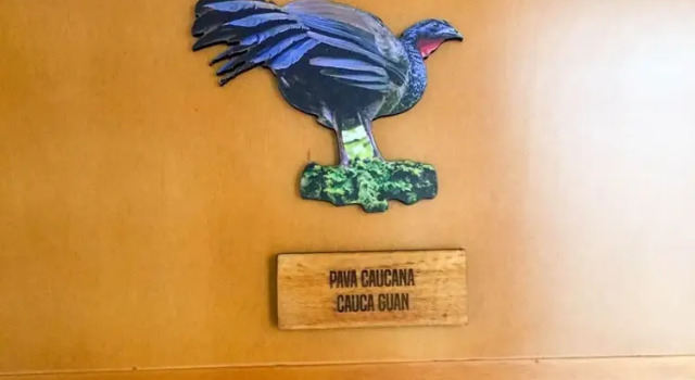 Номер Standard Cotinga Hotel Spa