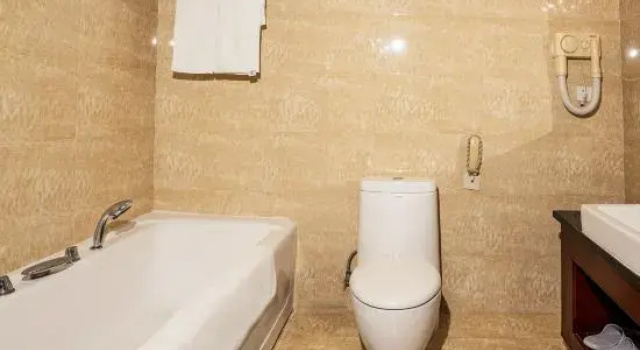 Люкс Business Lingyuan International Hotel