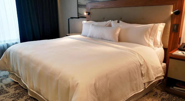 Двухместный номер Deluxe с видом на горы The Westin Monterrey Valle