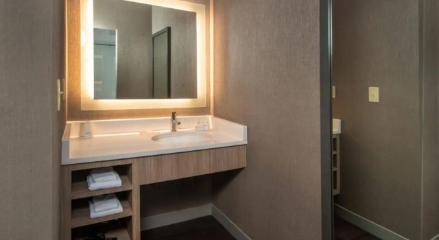 Люкс SpringHill Suites by Marriott Herndon Reston