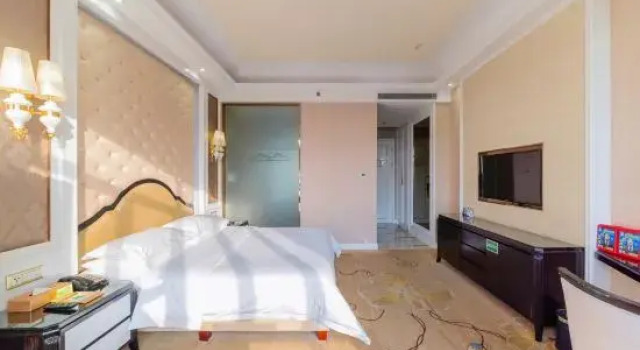 Двухместный номер Deluxe Vienna Hotel Foshan Nanzhuang Ceramics Headquarter