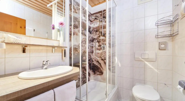 Двухместный номер Standard Landhotel zum Bad