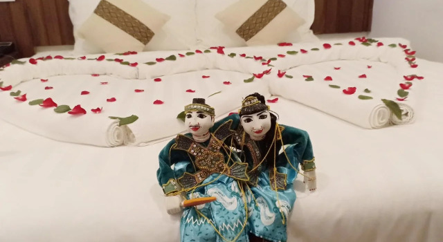 Hotel Duo Swan