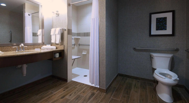 Четырёхместный номер Standard Hilton Garden Inn Hickory