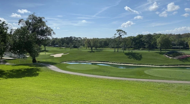 Одноместный полулюкс Innisbrook Resort
