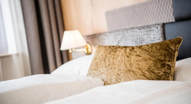 Номер Standard Hotel Oberbrunn