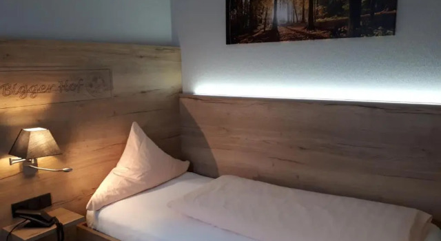Одноместный номер Standard Hotel Bigger Hof - Wirtshaus Platzhirsch am Jahnplatz