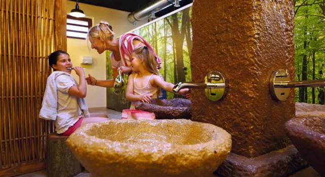 Номер Standard Natur-Resort Tripsdrill