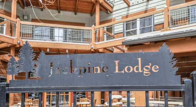Jack Pine 8006