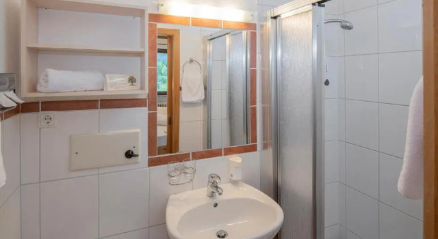 Двухместный номер Economy Hotel Maximilian