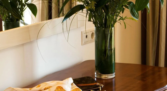 Двухместный номер Standard Valis Resort Hotel