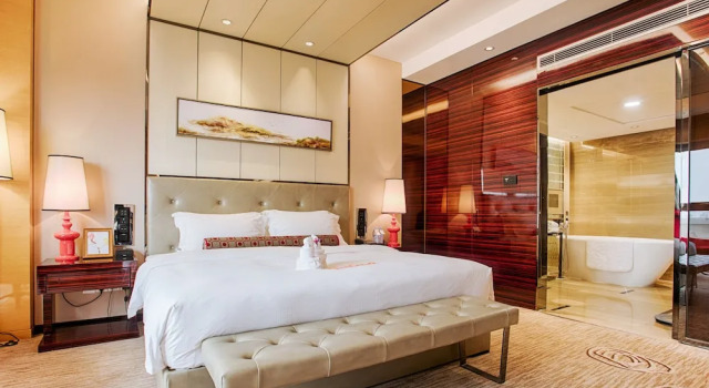 Люкс Executive Vaya International Hotel