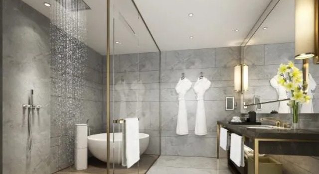 Люкс Deluxe Zhu Zhou Little swan deiss hotel